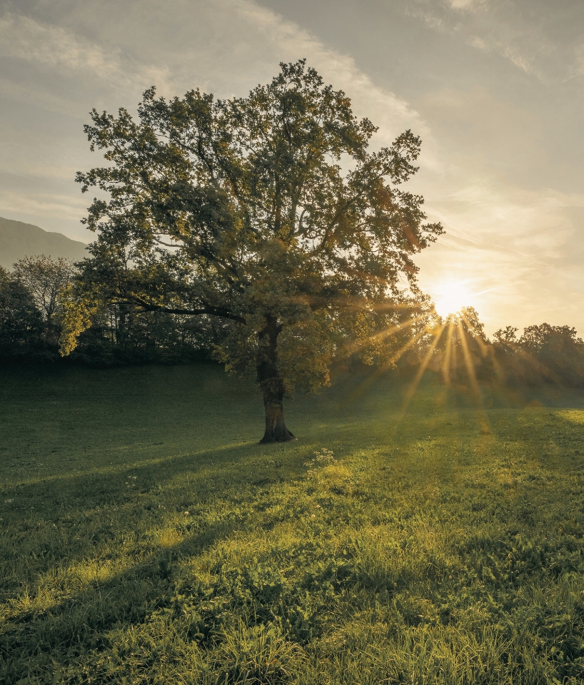 5 - Noach Uitvaartzorg