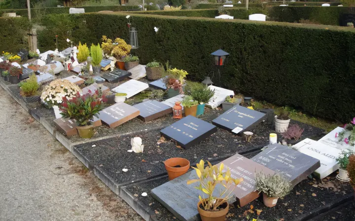 66977757a9810605ba77fe34 In Almere kun je kiezen voor een particulier graf of een algemeen graf - Noach Uitvaartzorg